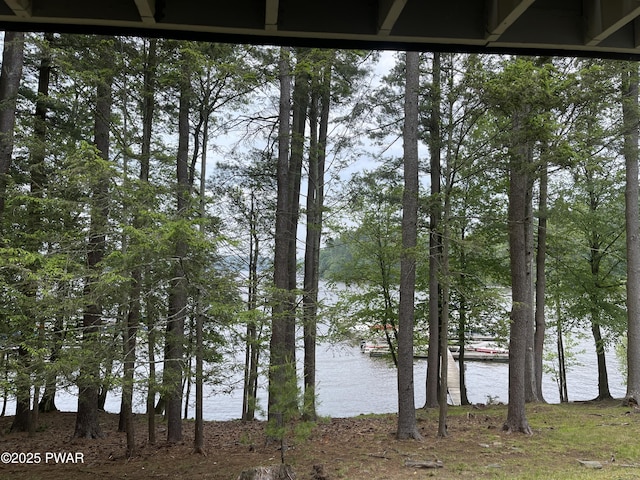 110 Waterview Ln Unit 31, Greentown, PA 18426 - water view