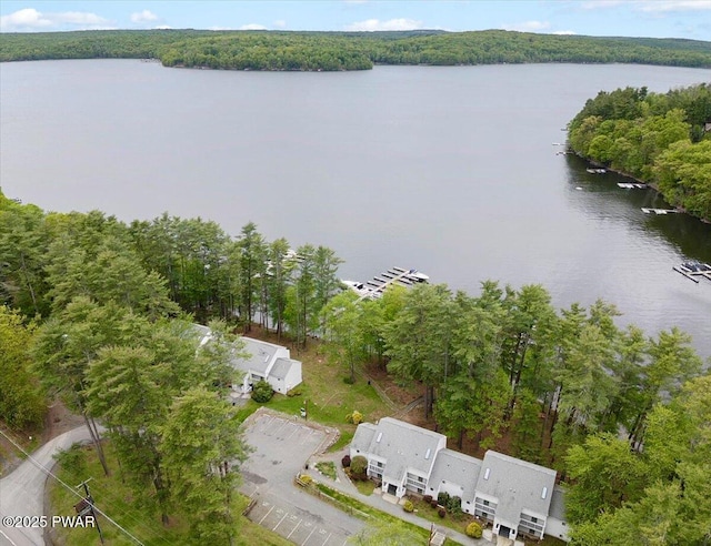 110 Waterview Ln Unit 31, Greentown, PA 18426 - bird's eye view of a nearby body of water and a heavily wooded area