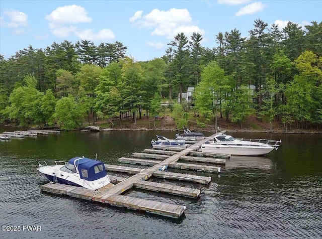 110 Waterview Ln Unit 31, Greentown, PA 18426 - dock area with a water view