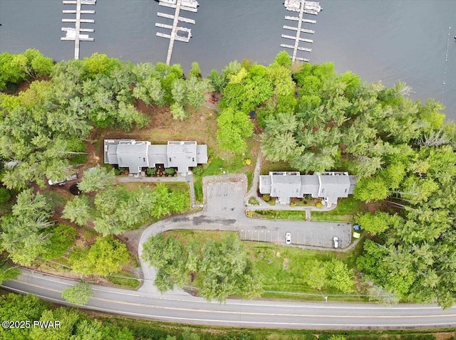 110 Waterview Ln Unit 31, Greentown, PA 18426 - aerial overview of property's location