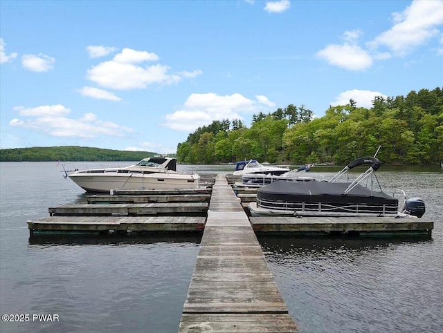 110 Waterview Ln Unit 31, Greentown, PA 18426 - dock with a water view and a view of trees