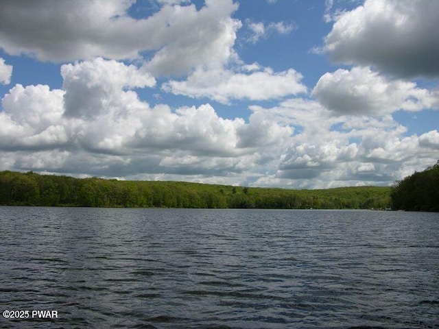 property view of water featuring a wooded view