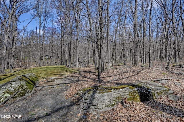 view of local wilderness