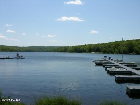 view of water feature with a forest view and a floating dock
