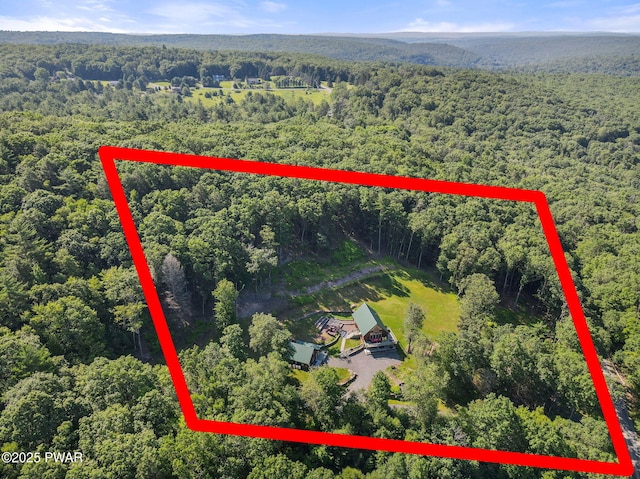 980 Long Ridge Rd, Hawley, PA 18428 - aerial overview of property's location featuring a forest and property parcel outlined