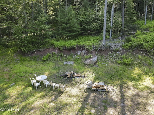 980 Long Ridge Rd, Hawley, PA 18428 - view of yard