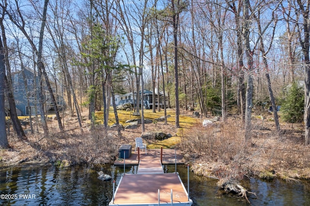123 Basswood Ln E, Lords Valley, PA 18428 - photo 38
