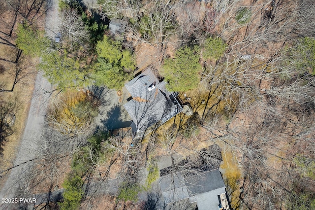 123 Basswood Ln E, Lords Valley, PA 18428 - photo 41