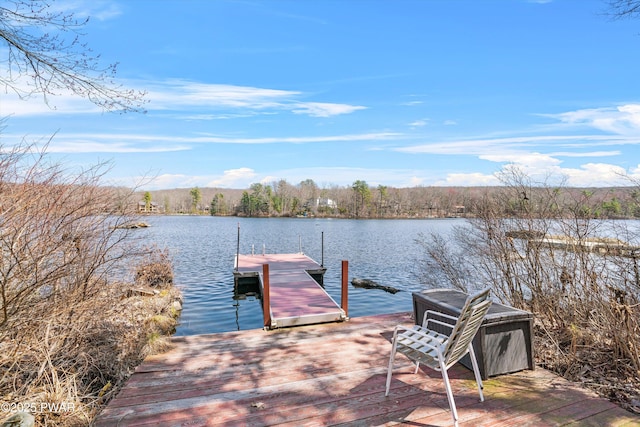 123 Basswood Ln E, Lords Valley, PA 18428 - photo 36