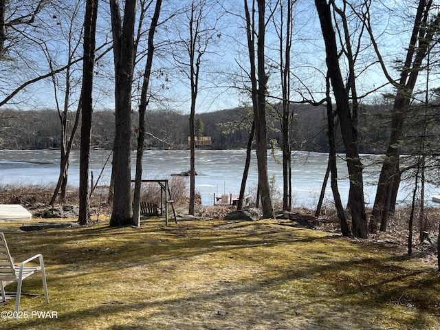 water view with a forest view