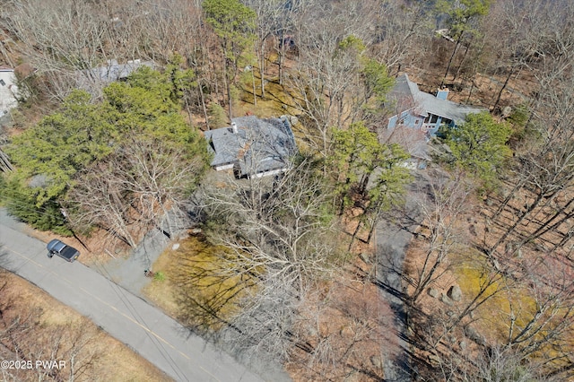 123 Basswood Ln E, Lords Valley, PA 18428 - photo 40