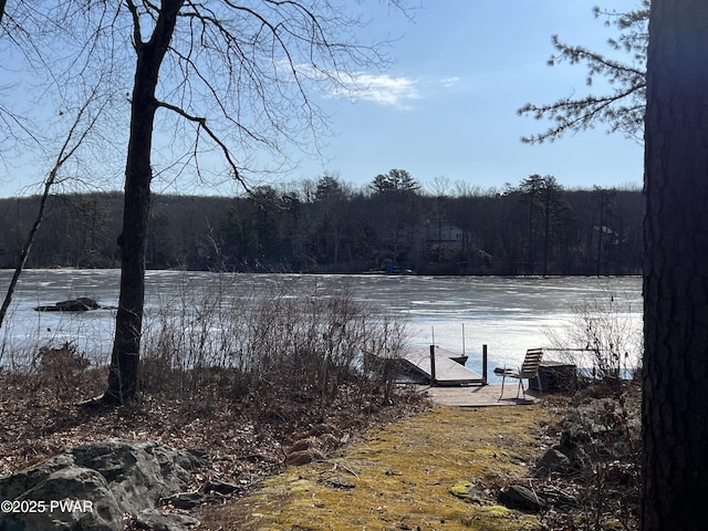 property view of water with a dock and a forest view