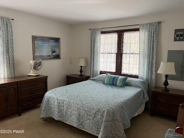 bedroom featuring light carpet