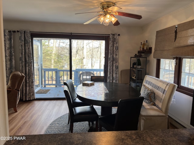 dining space with a ceiling fan, crown molding, and wood finished floors