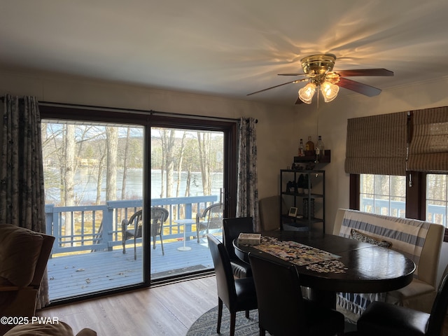 dining area featuring wood finished floors