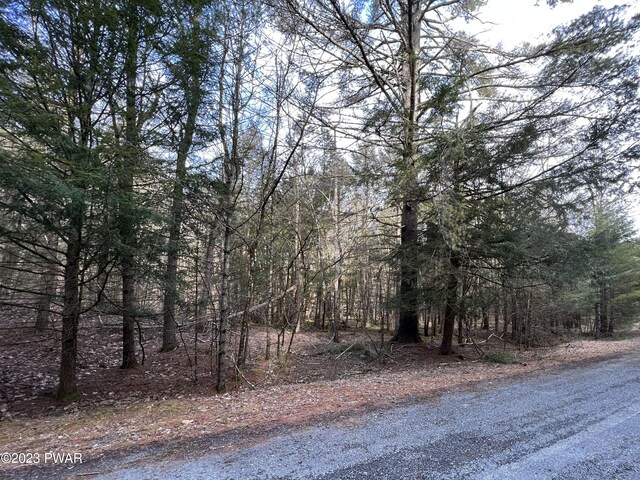 Listing photo 2 for LOT11 Covered Bridge Dr, Hawley PA 18428