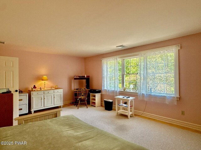 1050 Dewberry Dr, Hawley, PA 18428 - photo 86