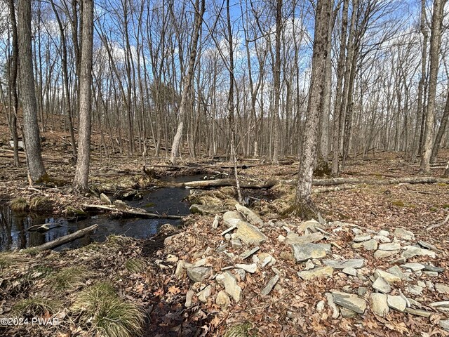 Dwarfskill Ct, Milford PA, 18337 land for sale