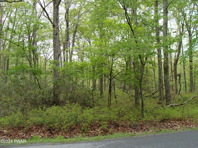 180 Conashaugh Trl, Milford PA, 18337 land for sale