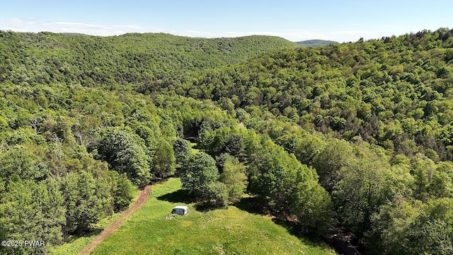 0 John Milk Rd, Hancock, NY 13783 - photo 44