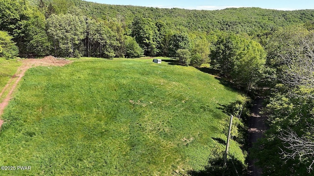 0 John Milk Rd, Hancock, NY 13783 - photo 23