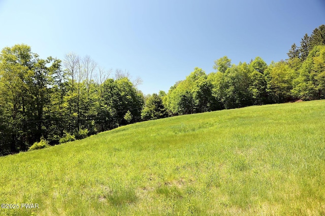 0 John Milk Rd, Hancock, NY 13783 - photo 13