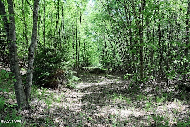 0 John Milk Rd, Hancock, NY 13783 - photo 20