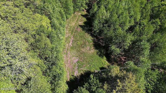 0 John Milk Rd, Hancock, NY 13783 - photo 39