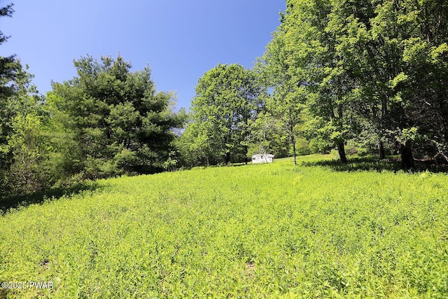 0 John Milk Rd, Hancock, NY 13783 - photo 9