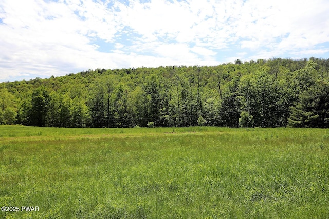 0 John Milk Rd, Hancock, NY 13783 - photo 17