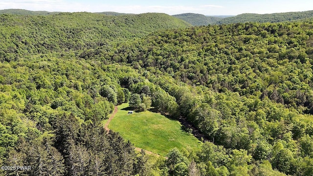 0 John Milk Rd, Hancock, NY 13783 - photo 1