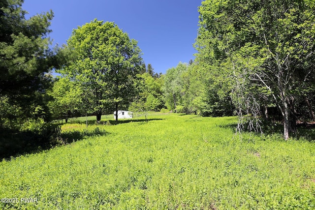 0 John Milk Rd, Hancock, NY 13783 - photo 10