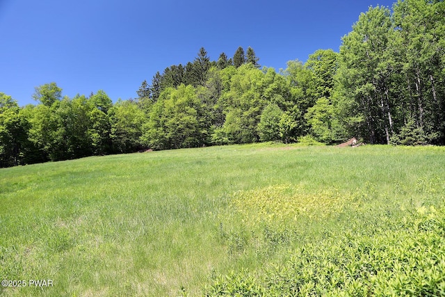 0 John Milk Rd, Hancock, NY 13783 - photo 14