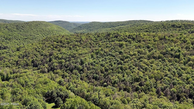 0 John Milk Rd, Hancock, NY 13783 - photo 36
