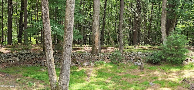 110 Stonefield Rd, Milford, PA 18337 - view of undeveloped land