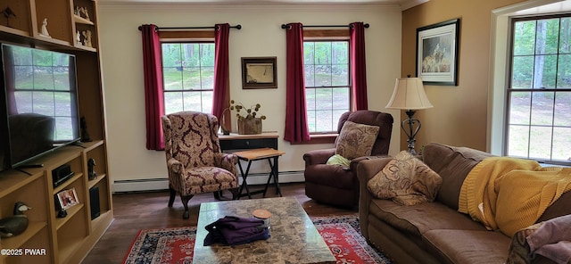 110 Stonefield Rd, Milford, PA 18337 - living room featuring baseboard heating, crown molding, and wood finished floors
