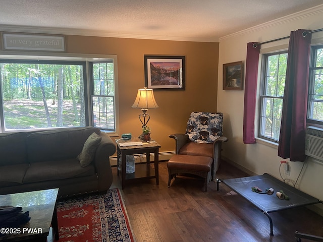 110 Stonefield Rd, Milford, PA 18337 - living room with crown molding, wood finished floors, and baseboard heating