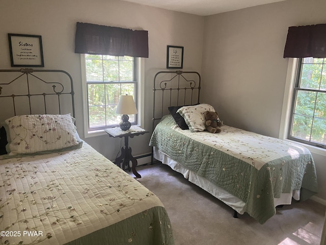110 Stonefield Rd, Milford, PA 18337 - carpeted bedroom featuring baseboard heating and baseboards