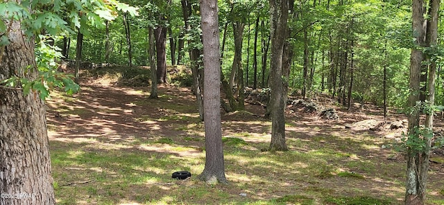 110 Stonefield Rd, Milford, PA 18337 - view of wooded area