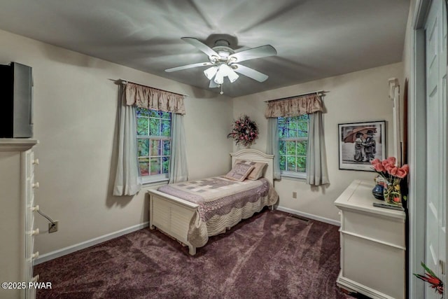 107 Musket Dr, Lackawaxen, PA 18435 - bedroom with multiple windows, baseboards, carpet, and ceiling fan