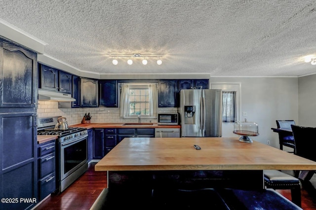 kitchen with under cabinet range hood, butcher block counters, stainless steel appliances, blue cabinets, and a sink