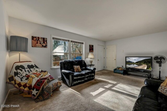 living room with carpet floors