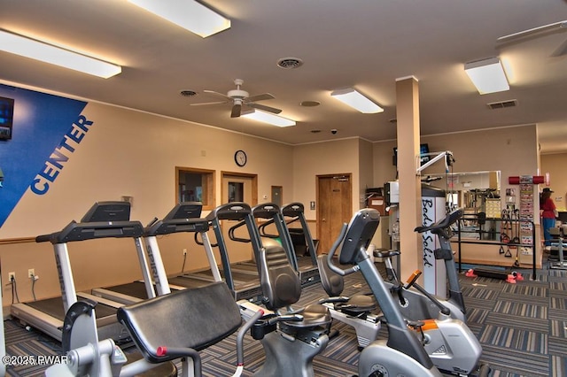 exercise room featuring ceiling fan and carpet floors