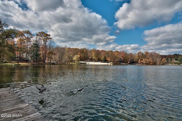 property view of water