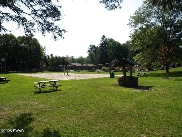 view of property's community featuring a yard and volleyball court