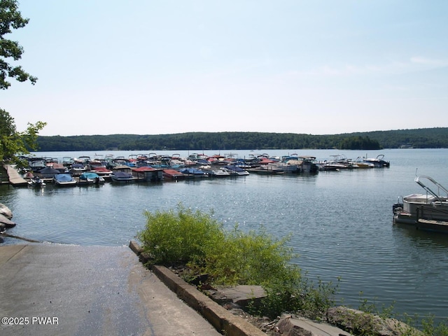 property view of water