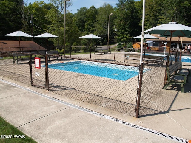 view of swimming pool featuring a patio area