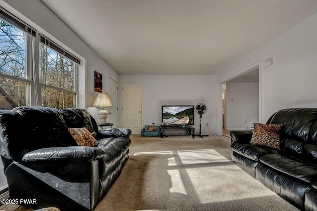 living room with light carpet