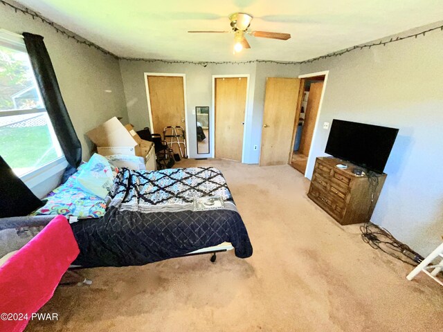 carpeted bedroom featuring multiple windows, ceiling fan, and multiple closets