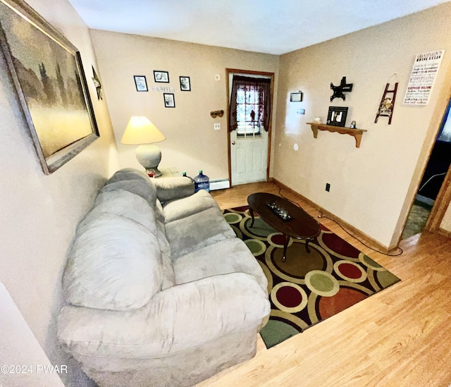 living room featuring hardwood / wood-style floors